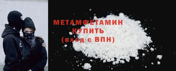 шишки Болотное