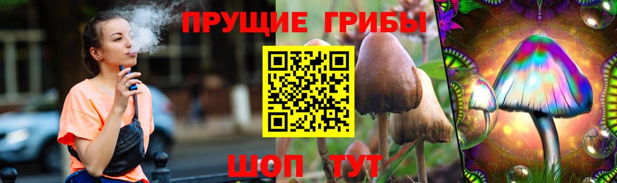 Псилоцибиновые грибы прущие грибы Кировск