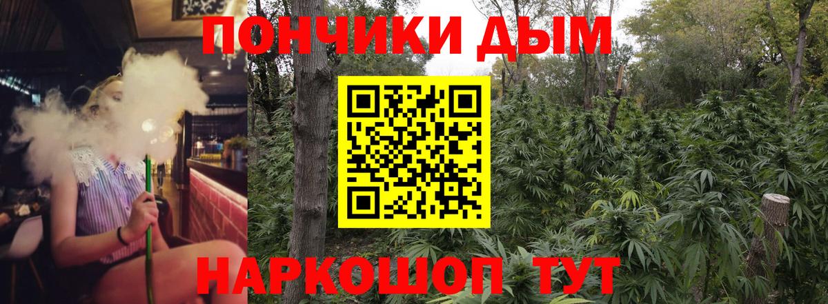 Канабис OG Kush  Вход с VPN  Кировск  Шишки марихуана сатива  МАРИХУАНА сатива 